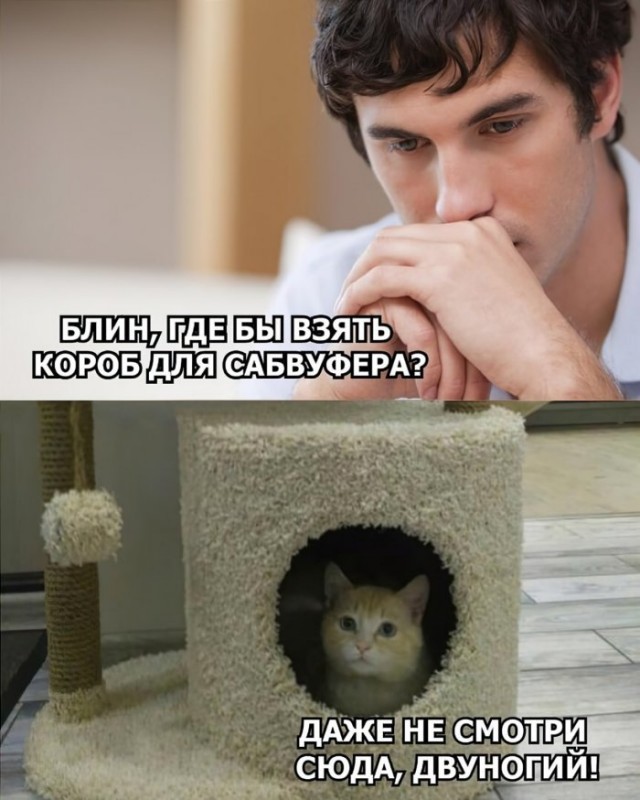Бредзона 23.04.20