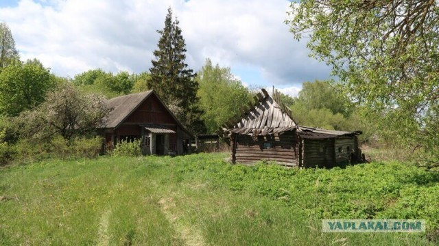 Вымирающие деревни Смоленской области. Микулино и Любавичи