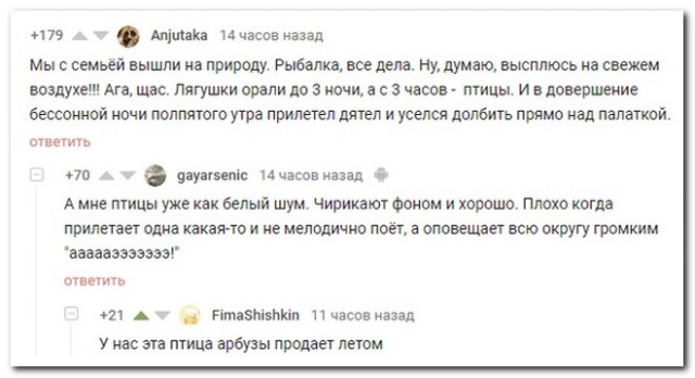 Бредзона 15.06.2020