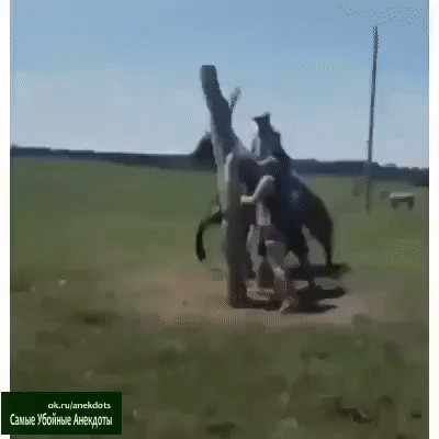 Мотоцикл и негры