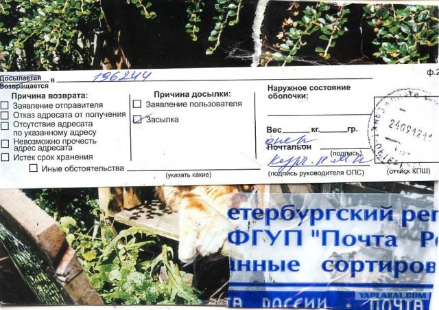 Почта России принимает посылки