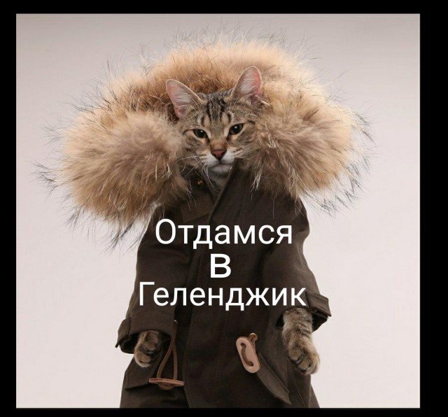 Одежда в Якутске в минус 50 мороз. Что почем