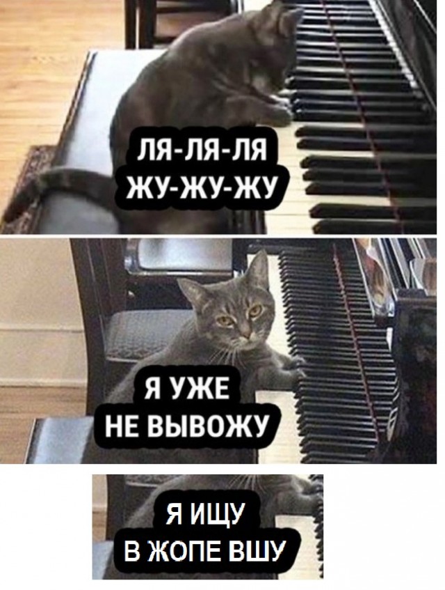 Человек собаке друг и другие картинки и мемы  под настроение
