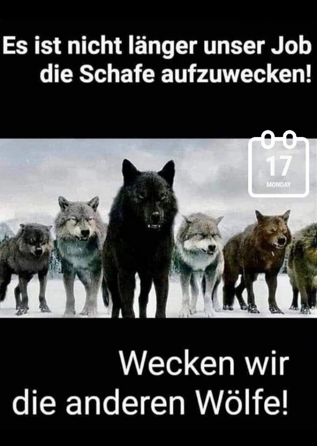 Так себе коронавирусные и не только картинки из Германии, часть 2