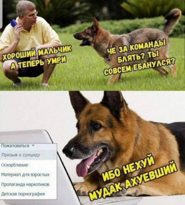 Картинки и мемы для настроения - 23