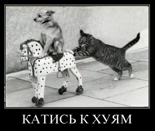 Получай, петушара!