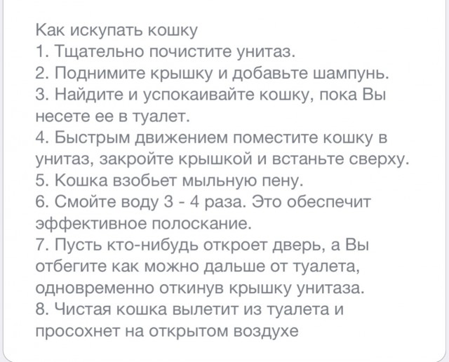 Помыть кошку