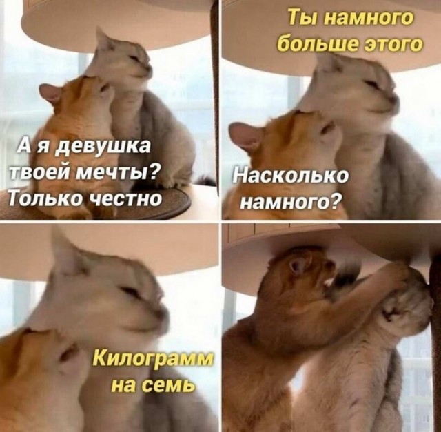 Немного картинок для настроения - 105