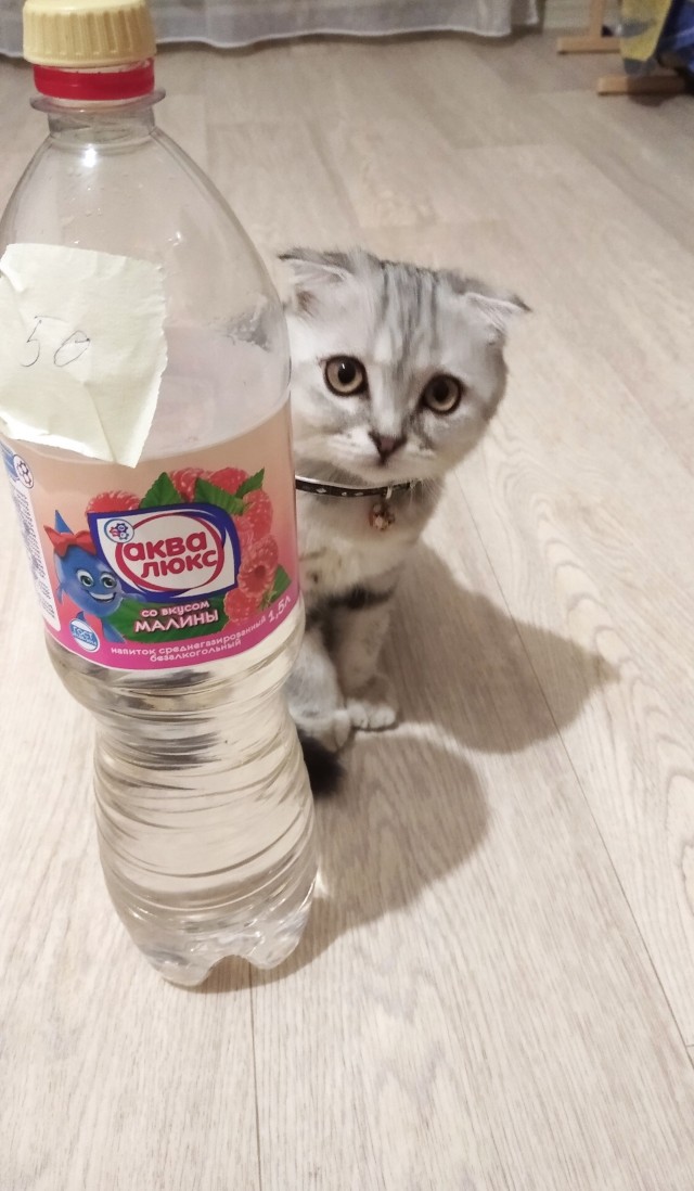 Снимаем напряжение с Япа
