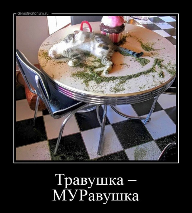 Прикольные и просто красивые картинки 17.01.2023
