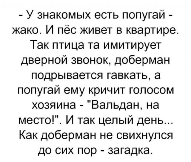Одна пикча