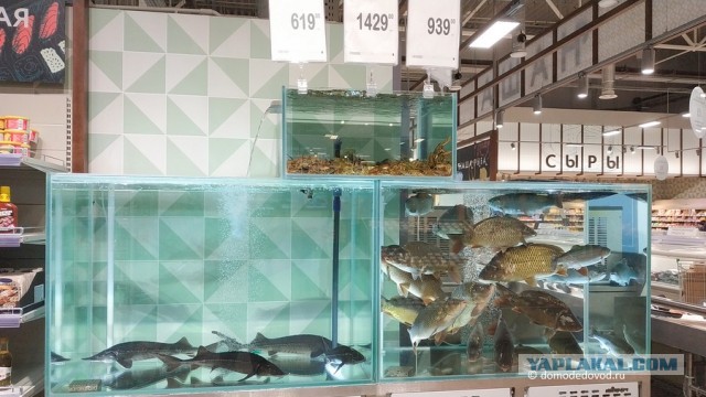 Продуктовая беда России