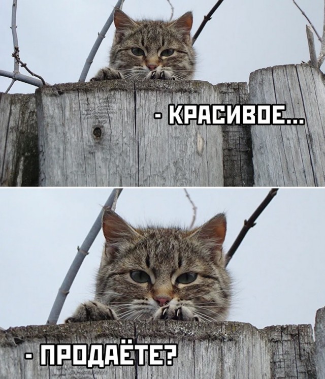 Изготовление стеклянных рыбов