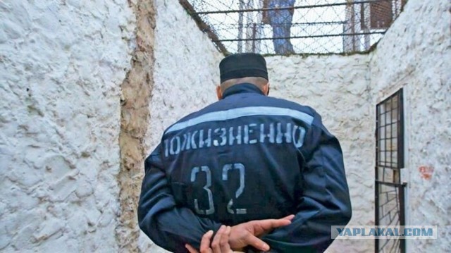 Дядя снова упоролся))