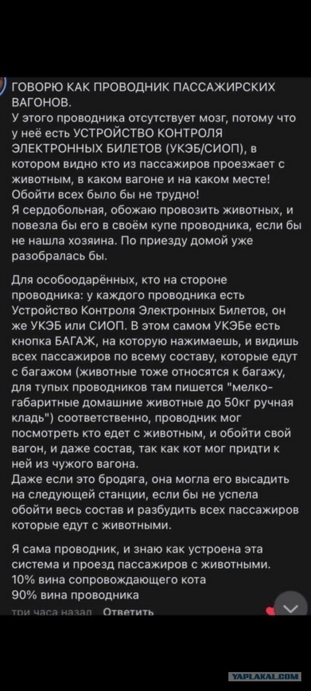 Проводник, высадившая кота Твикса, временно отстранена от работы