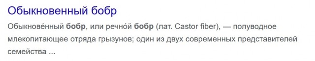 Вот бобер. Просто бобер. Он не курва