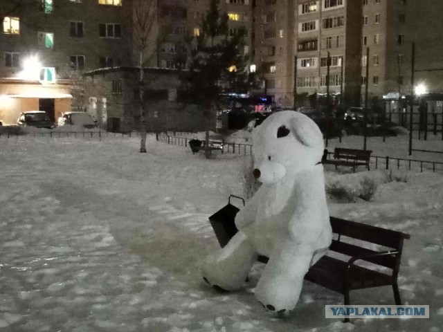 Обычное утро в Питере