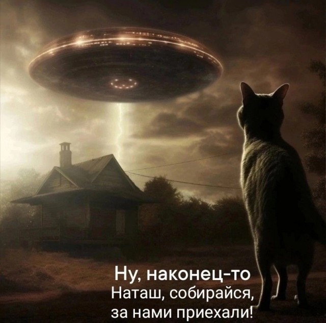 Прикольные и просто красивые картинки 09.08.2024