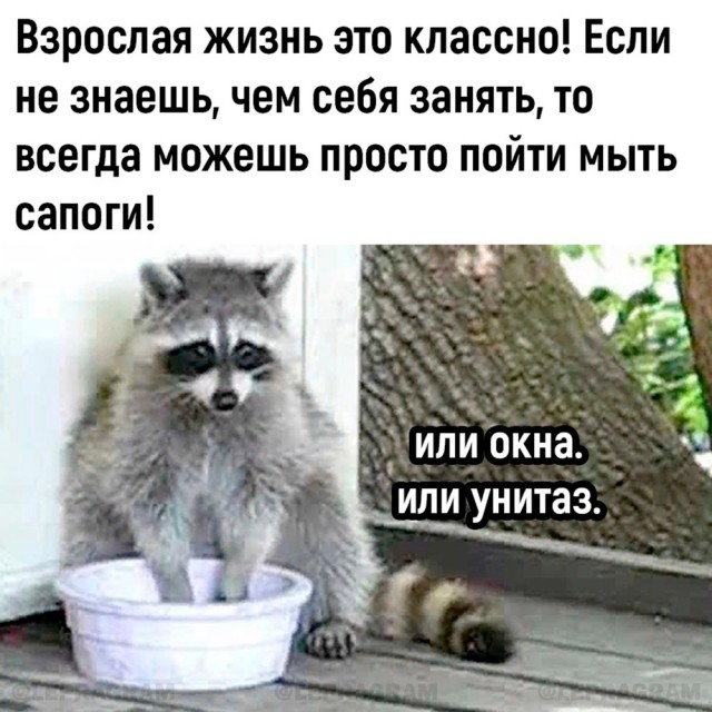 Завалялось тут случайно немного забавных картинок