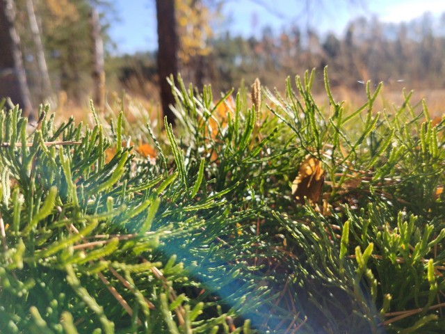 Осень на озёрах 2