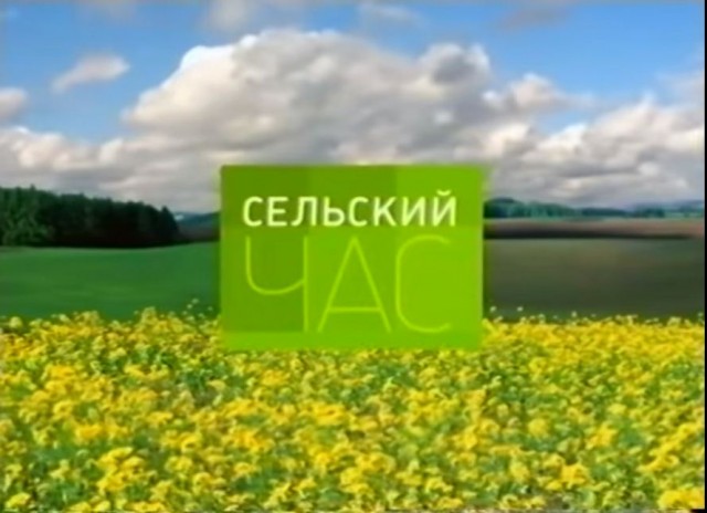 А помните, любовь с первого взгляда?