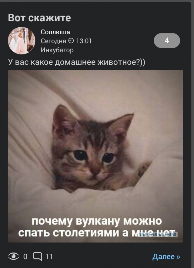 Вот скажите