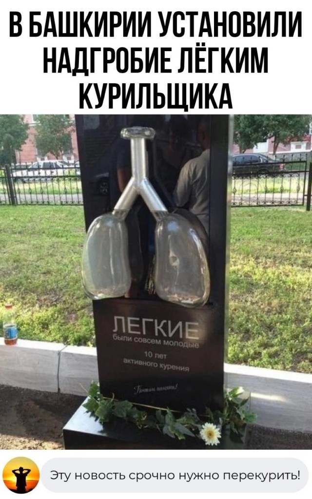 Нуштош 13.12.2024