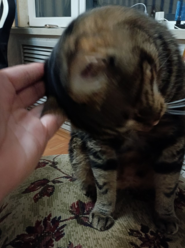 Блин. На меня пацан обиделся!