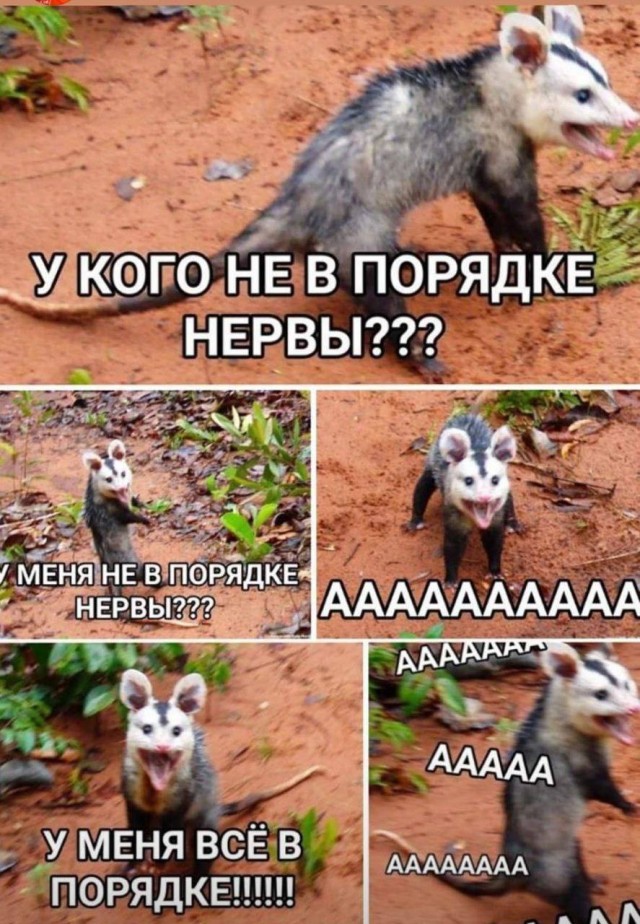 Так себе картинки
