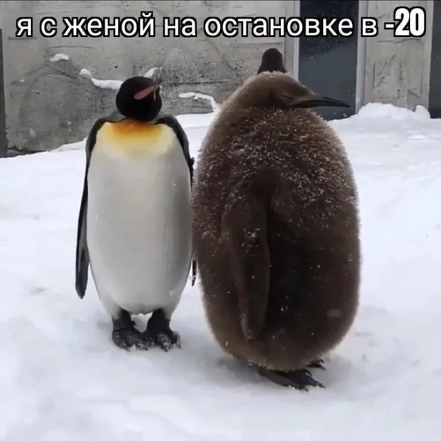 Народная меДИЧина 2024