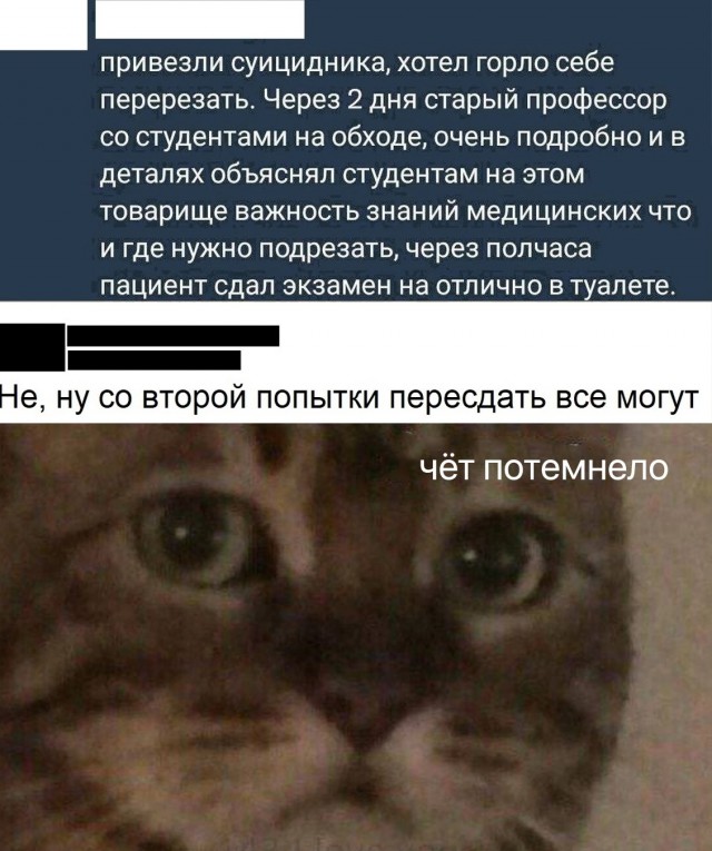 Так себе картинки 16.01.25