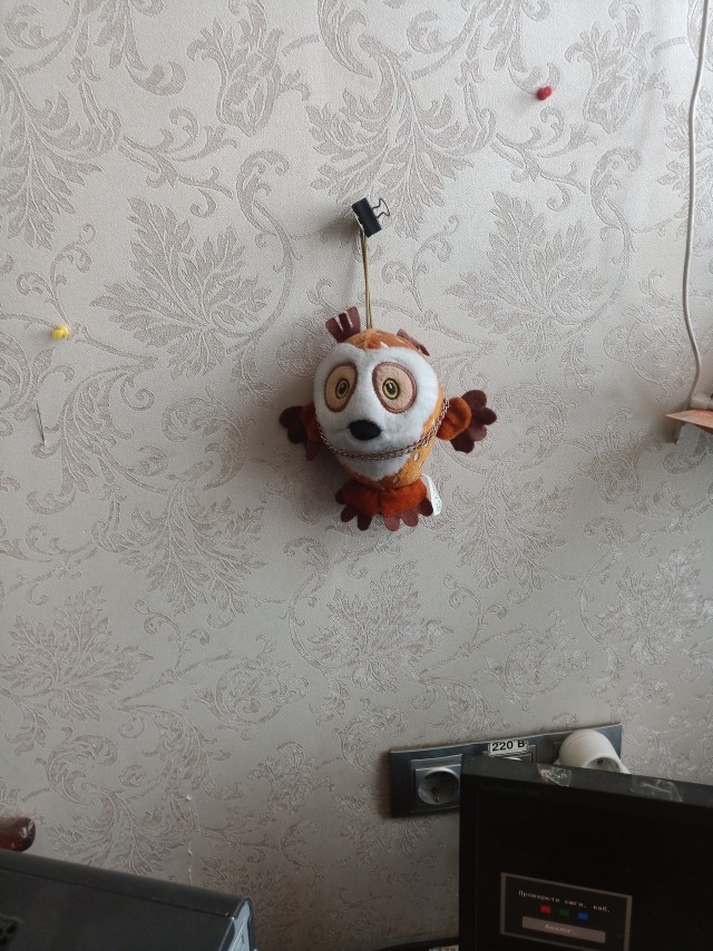 Краткий отчёт по сове