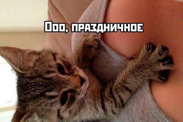 Веселые картинки в среду (практически в пятницу) (07.05)