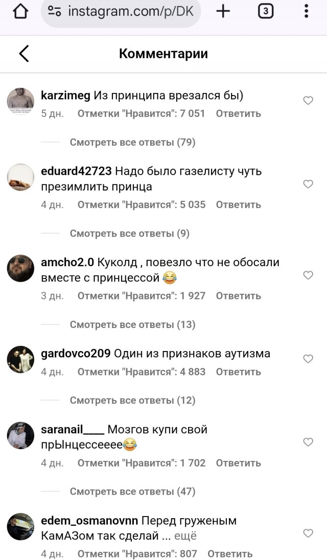 Выгул принцессы
