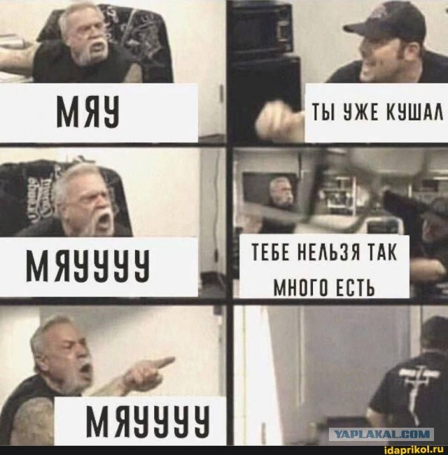 Веселые картинки в маленькую среду (30.07)