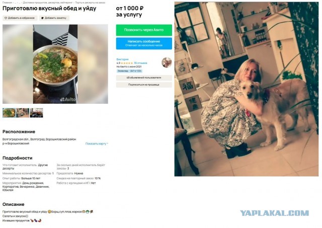 Антитарелочницы