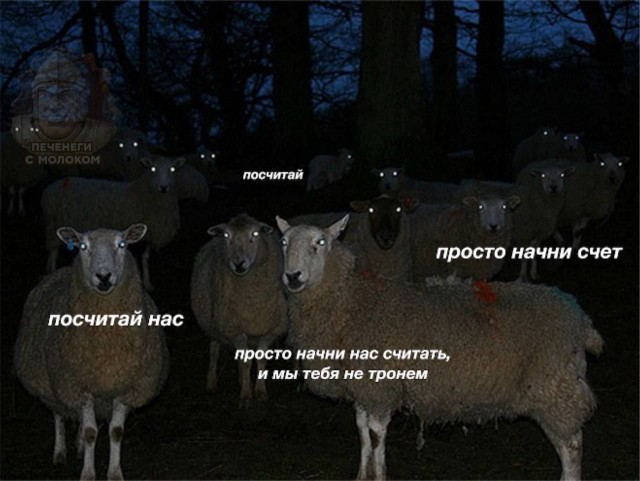 Веселые картинки в маленькую пятницу (27.08)