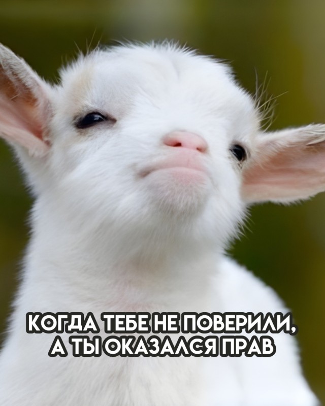 Прикольные и просто красивые картинки
