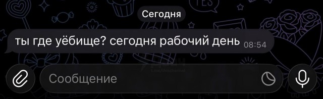 Картинки для деградации 77 (разной степени свежести)
