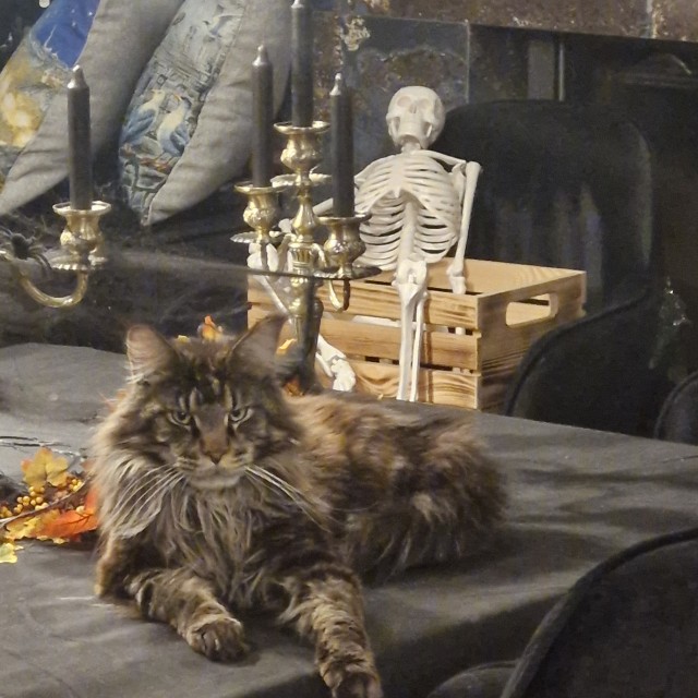 Реквизит для хелоуина