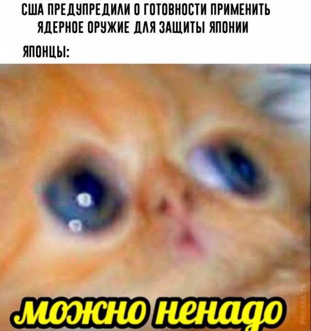 Веселые картинки в пятницу (16.01)