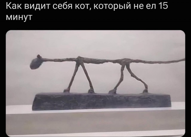 Забавные картинки, шутки из этих ваших интернетов