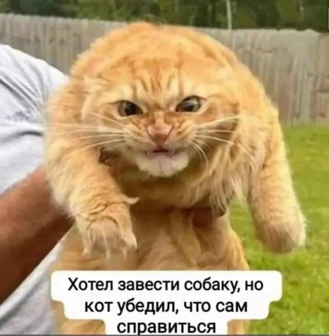 Так себе картинки 28.08.26