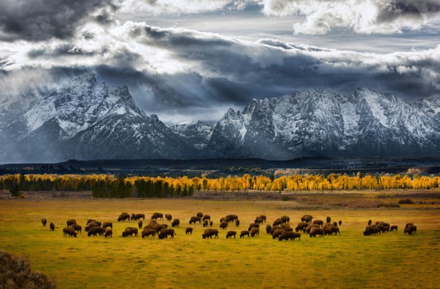 Фотоконкурс National Geographic Photo  2013