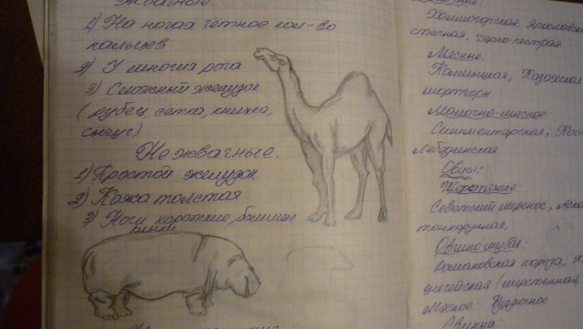 Школьные хитрости