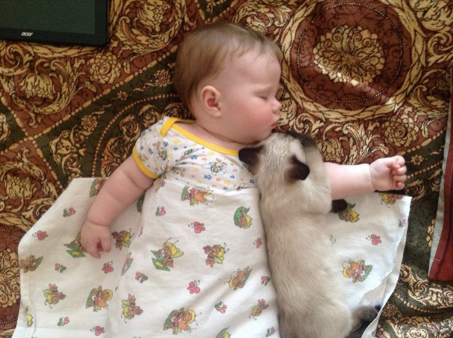 Кошка и котё... ребёнок