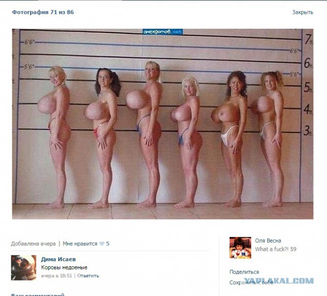 Веселости