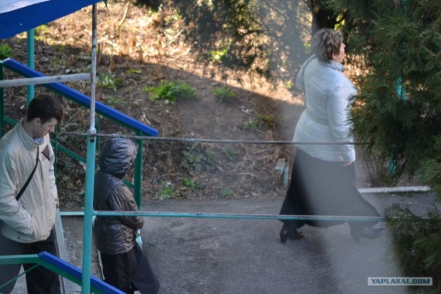 Новые "Свидетели ... "