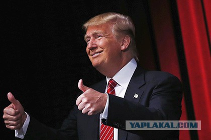 Интересные мысли из-за океана