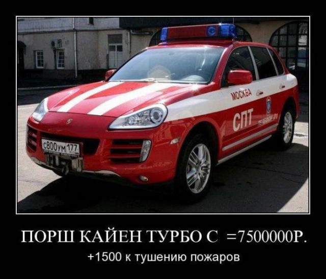 Прикольные картинки и демотиваторы